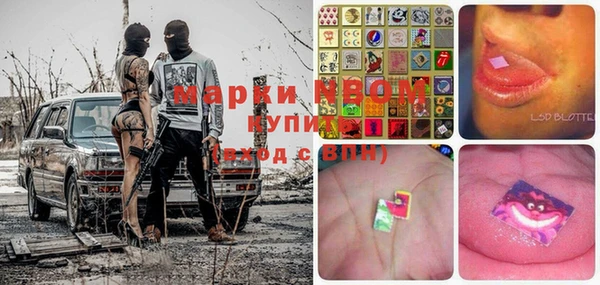 ГАЛЛЮЦИНОГЕННЫЕ ГРИБЫ Аркадак