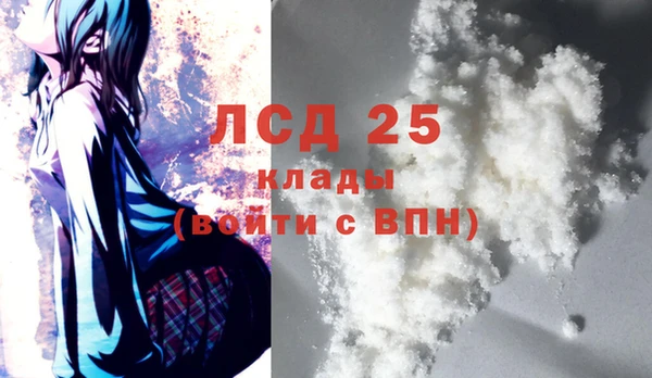 ГАЛЛЮЦИНОГЕННЫЕ ГРИБЫ Аркадак