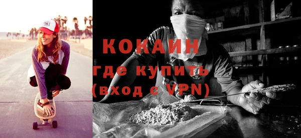 ГАЛЛЮЦИНОГЕННЫЕ ГРИБЫ Аркадак