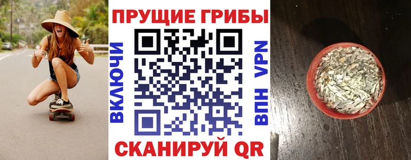 hydra как войти  Барабинск  Псилоцибиновые грибы GOLDEN TEACHER 