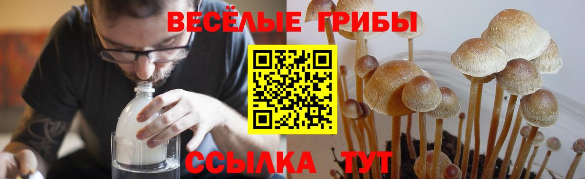 где продают наркотики  Галлюциногенные грибы Psilocybe  Барабинск  Вход с VPN  Галлюциногенные грибы ЛСД 