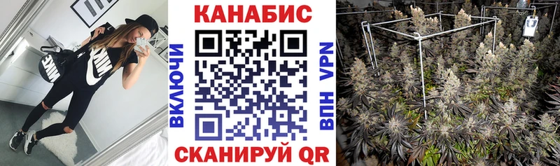 Бошки марихуана конопля  Барабинск 